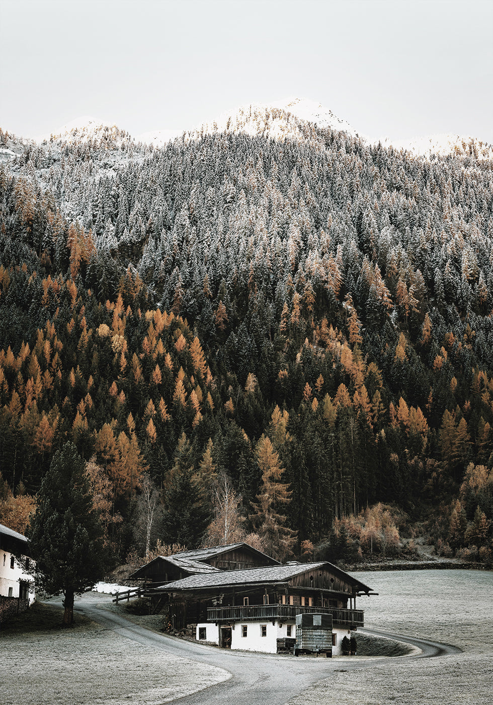 Poster Case rustiche in montagna 