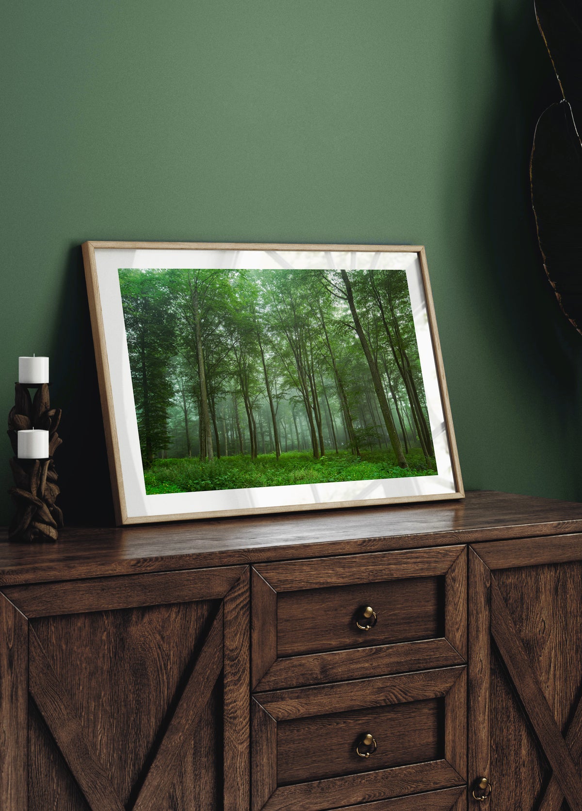 Nebbia della foresta incantata