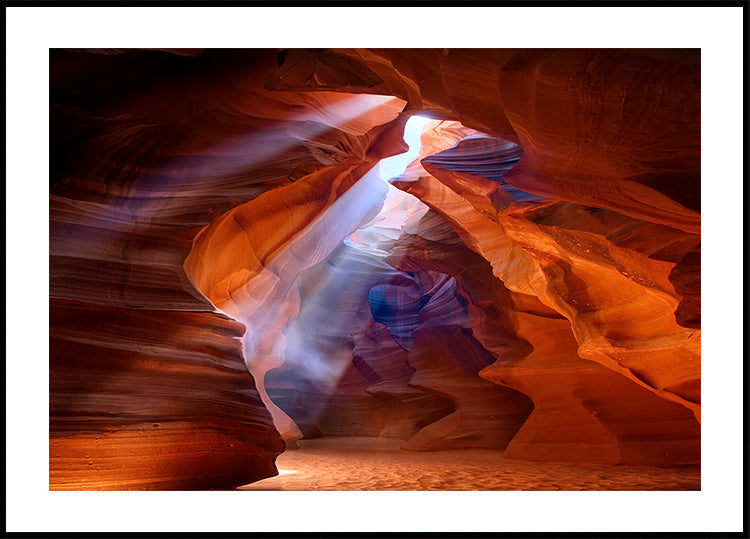 Poster Puro Photodelight 2