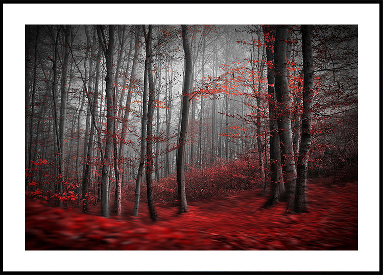 Poster del fiume insanguinato