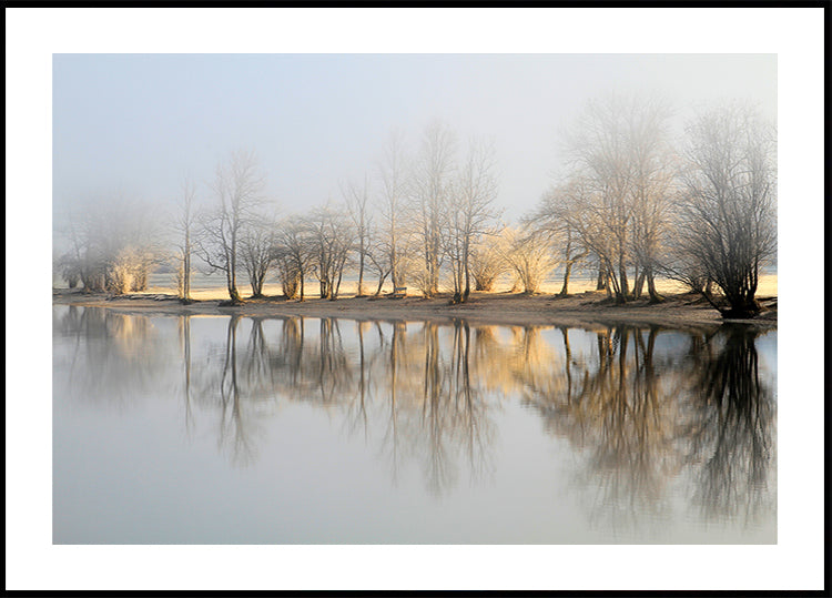 Poster della mattina di gennaio