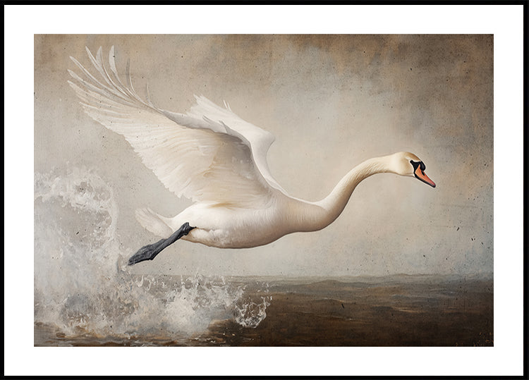Volo grazioso
