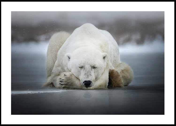 Sognando da solo Poster