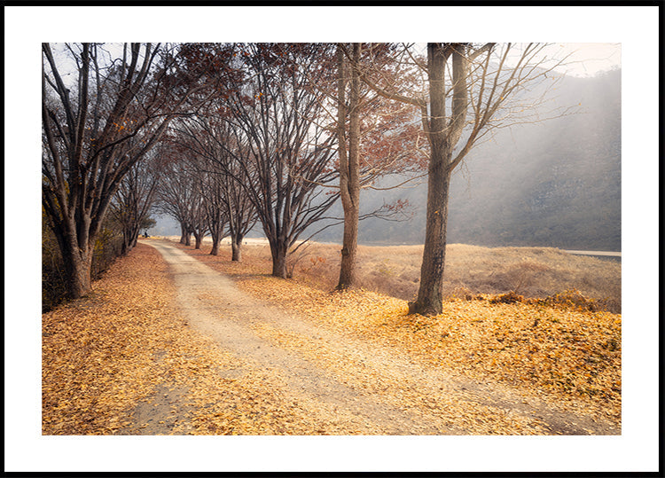 Nel mezzo dell'autunno Poster