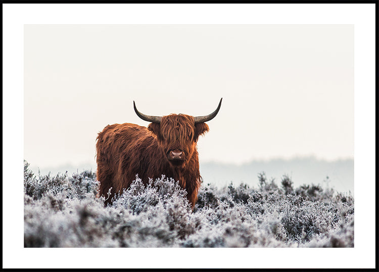 Manifesto dell'Highlander