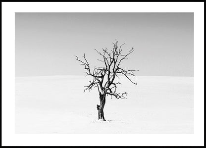 Poster Albero secco nella neve 