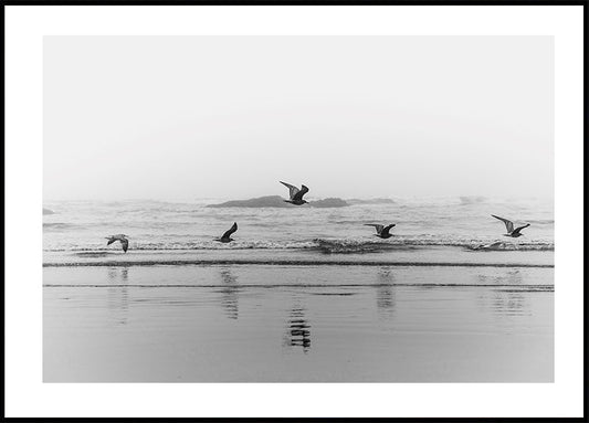 Poster di uccelli che volano sopra la costa 