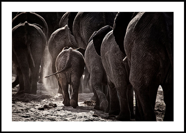 Camminando verso casa