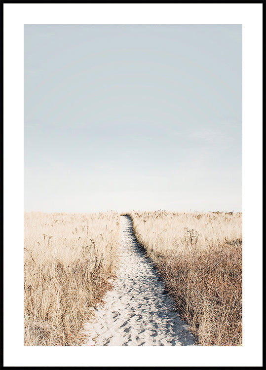 Al manifesto della spiaggia