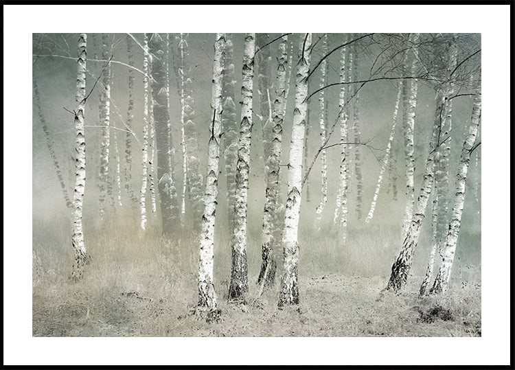 Poster del silenzio mattutino