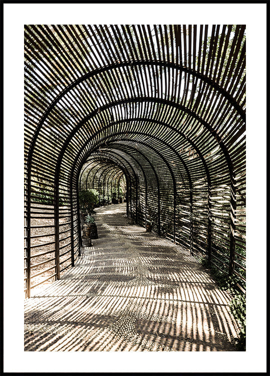 Manifesto del giardino d'ombra