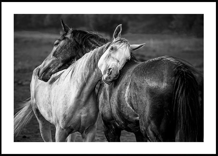 Poster di pioggia calda