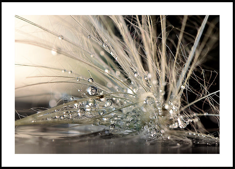 Il manifesto di Perla