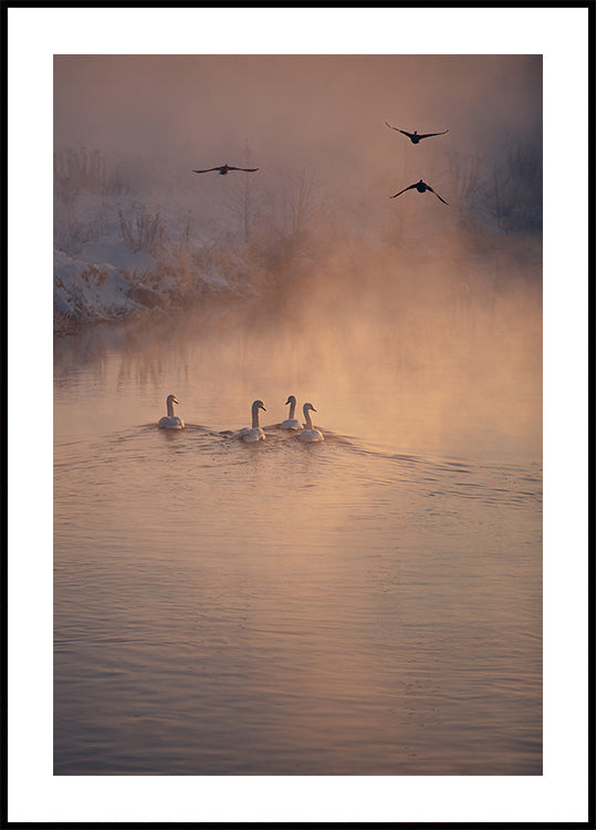 Il poster Dove non arriva la nebbia
