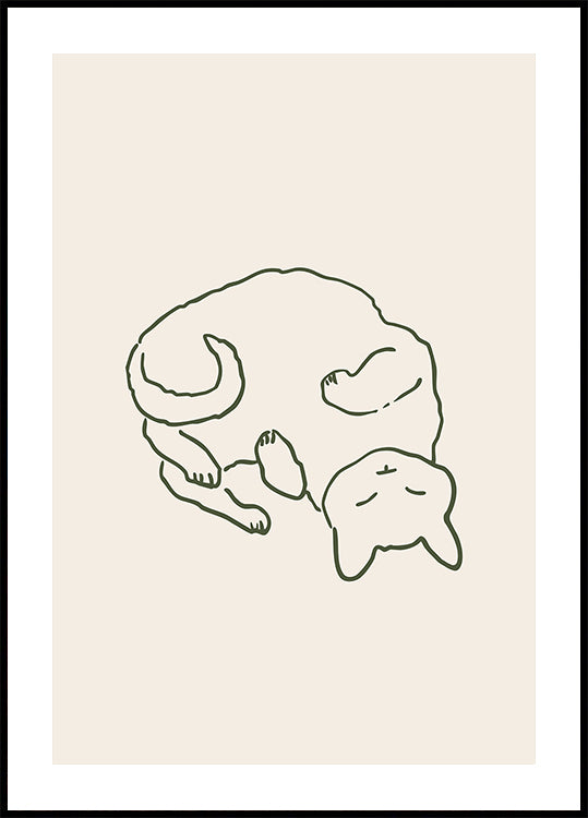 Accogliente gatto da coccolare (NUOVO)