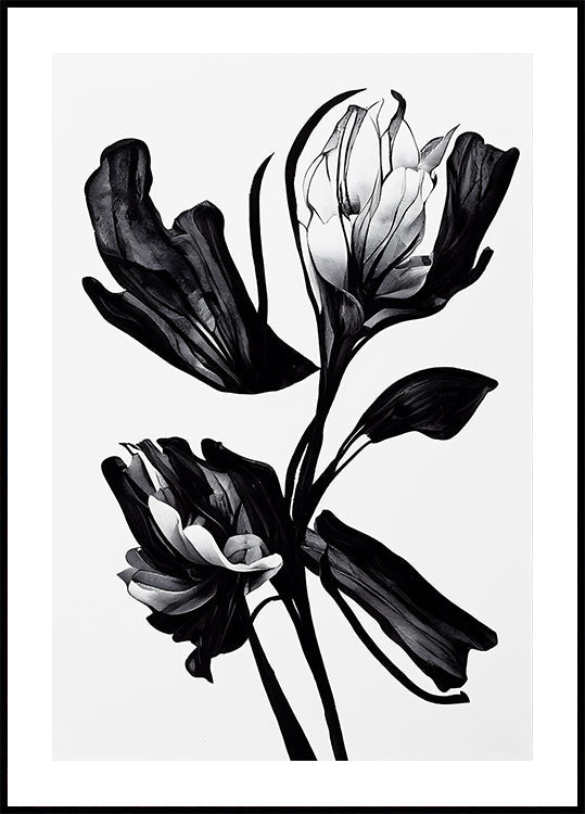 Fiore Nero