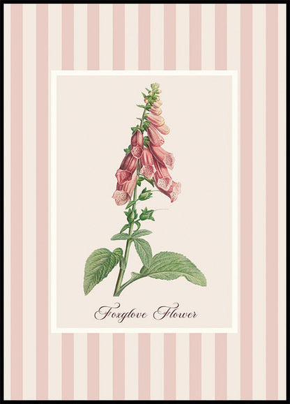 Poster di fiori di digitale rosa