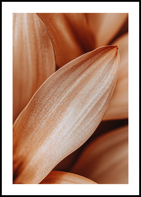 L'eleganza dei petali d'ambra
