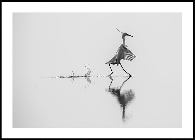 Locandina "Ballando sull'acqua".