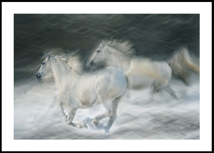 galoppo in un duello Poster