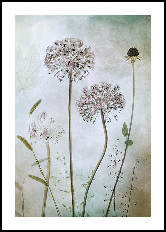 Manifesto dell'Allium