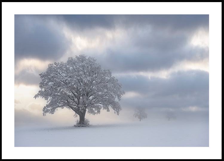 Poster mattutino freddo