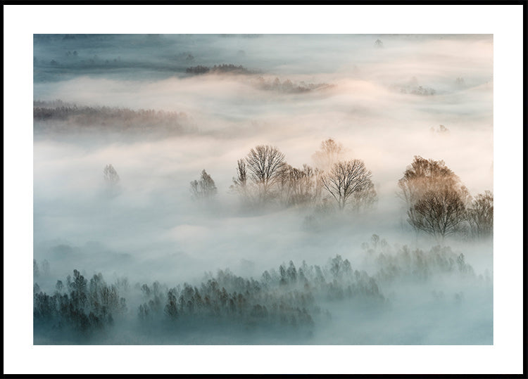 Poster di nebbia invernale