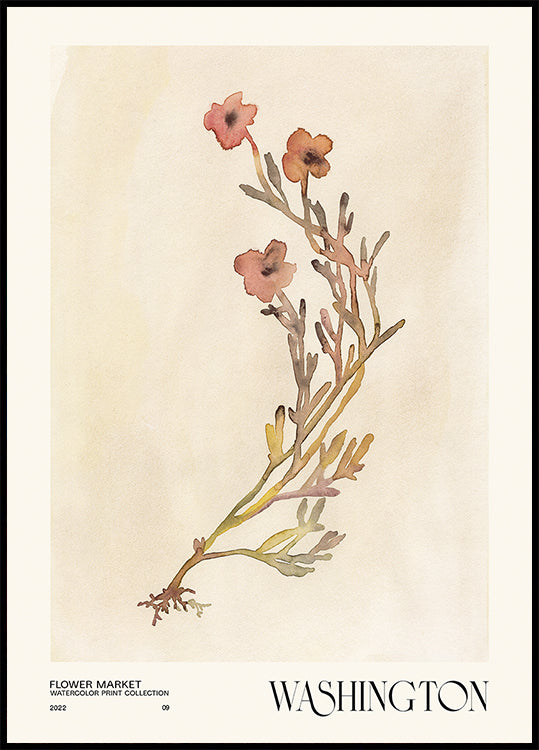Collezione di stampe ad acquerello. Mercato dei fiori - Washington