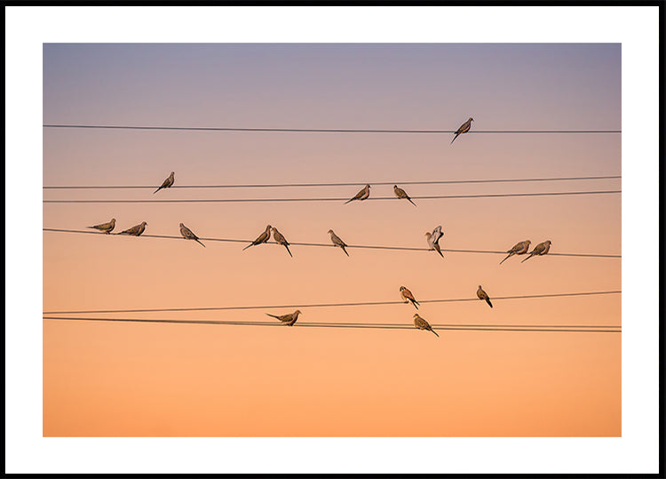 Musica di luce