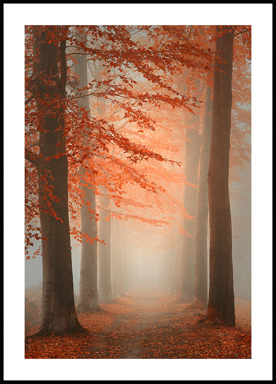 Manifesto del sogno autunnale