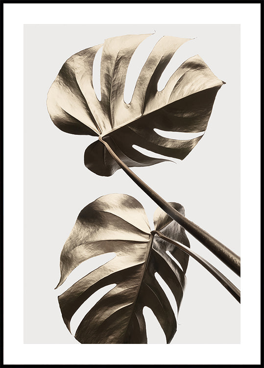 Poster Monstera Oro 08