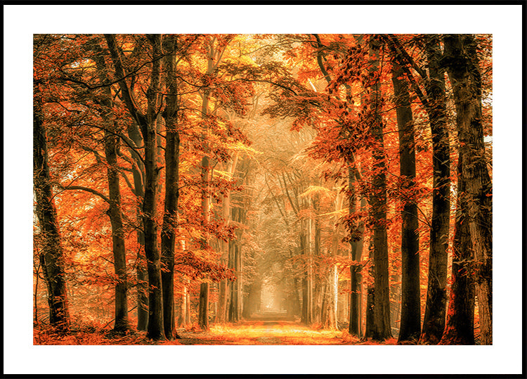 Esci dal poster del portale