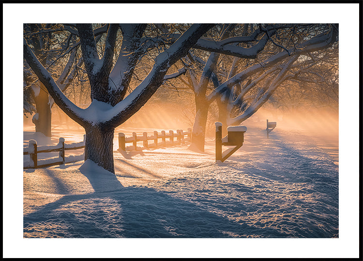 Poster dopo la tempesta di neve
