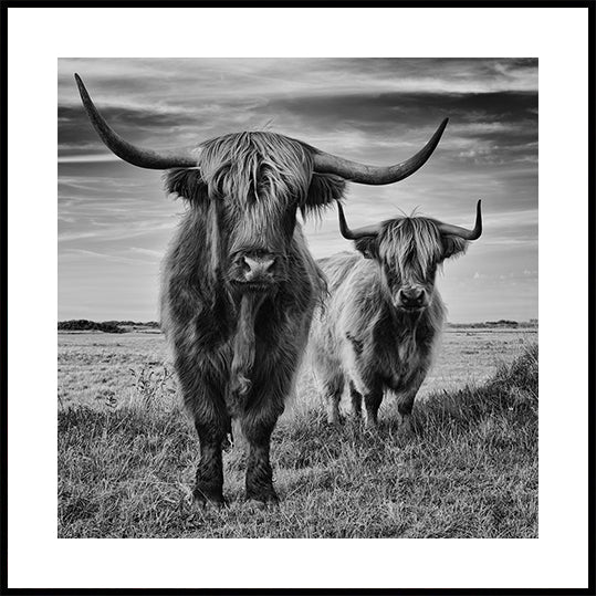Manifesto delle Highlands