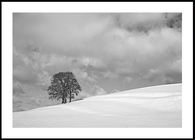 Poster di una giornata invernale nuvolosa