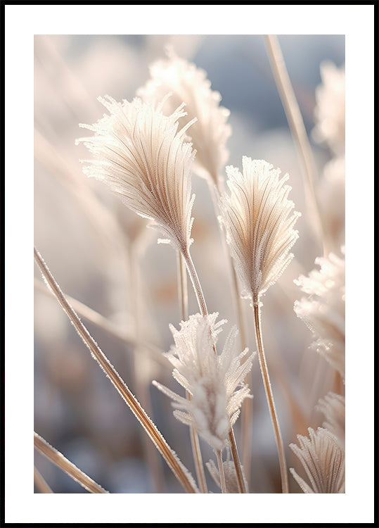 Poster di eleganza glassata