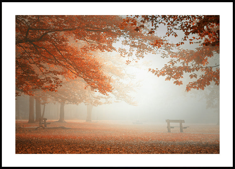 Poster Le meraviglie della natura