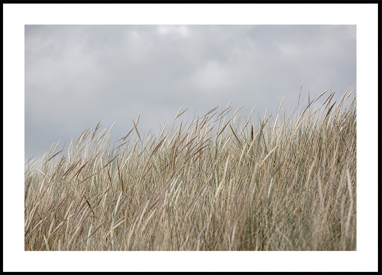 Dune e nuvole