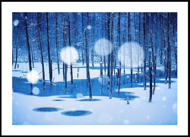 Manifesto del paese delle fate