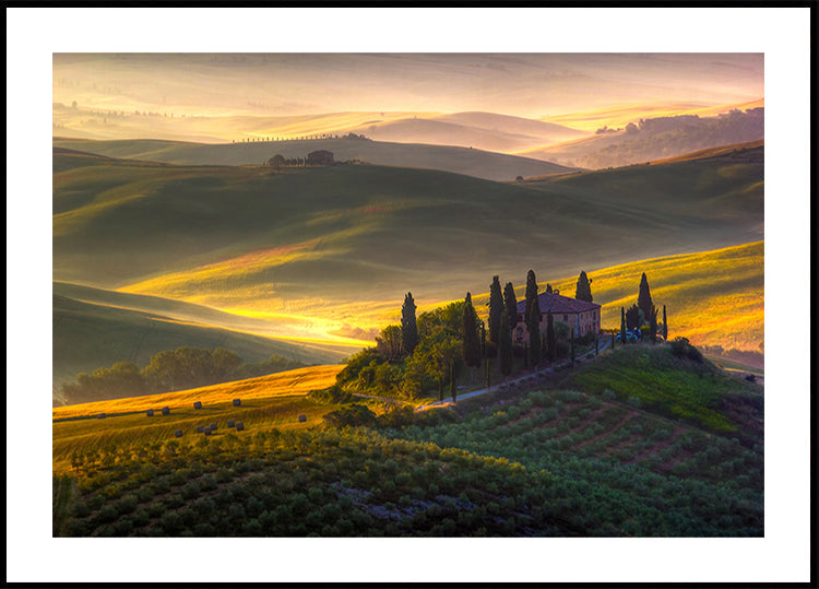 Di verde e oro