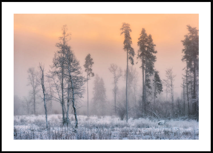 Poster di mattina gelida