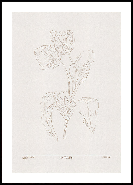 In Tulipani (marrone)