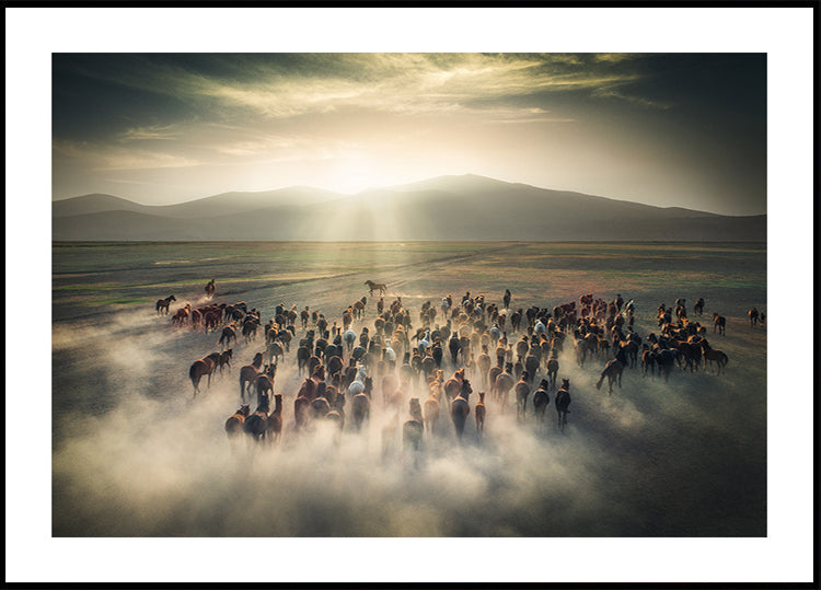 Poster di cavalli selvaggi