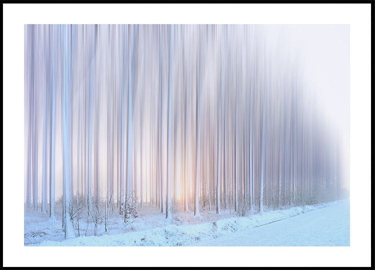 una cortina di alberi Poster