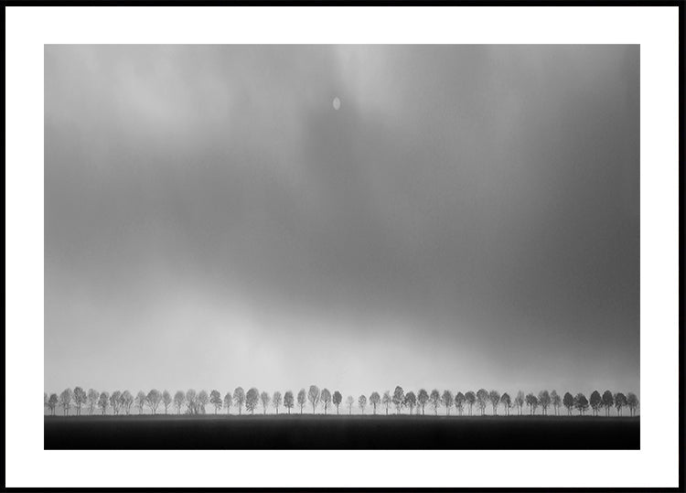 Paesaggio dei polder