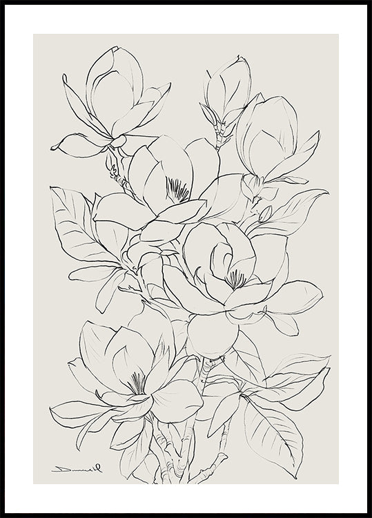 Albero di magnolia