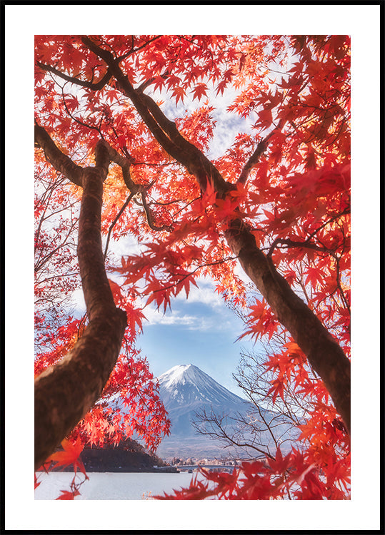 Il Monte Fuji è tra le foglie autunnali Poster