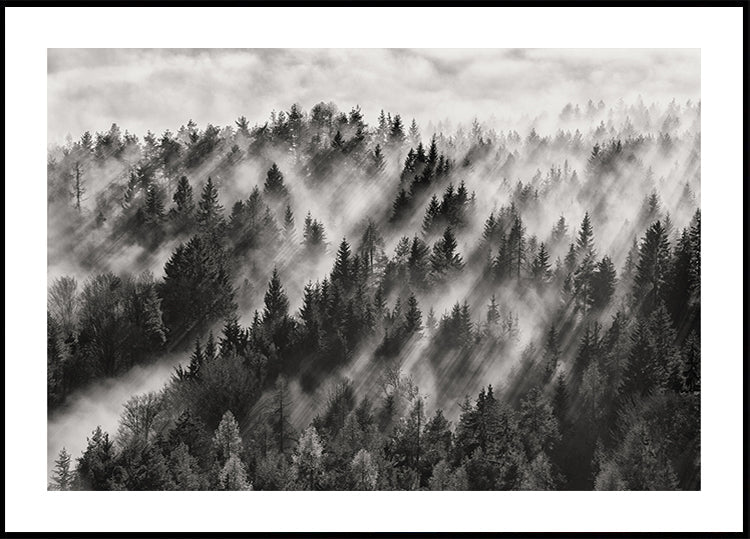 Poster del Sundance n. 1