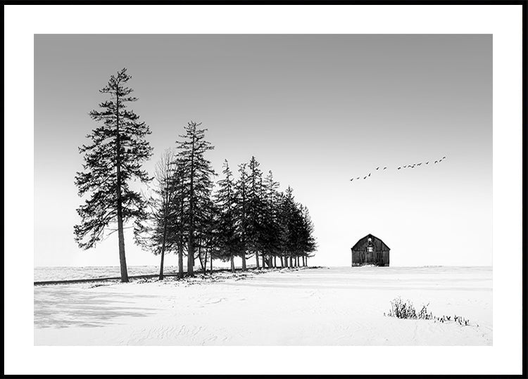 Un poster di una soleggiata giornata invernale