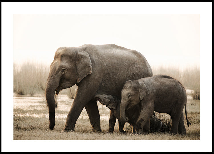 Ritratto di famiglia Poster